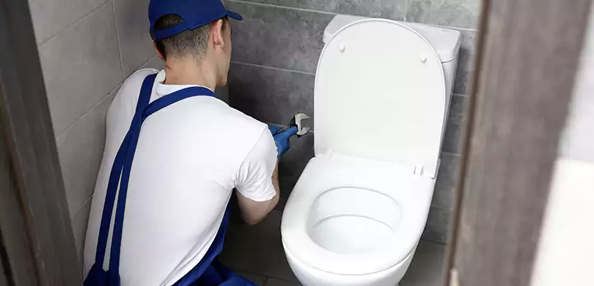 Toilet Lid Replacement in Hanford