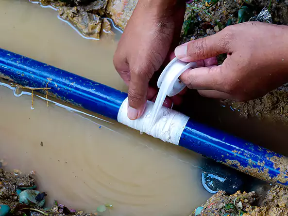  Why Choose Hanford Plumbers for Leak Detection in Hanford, CA?]