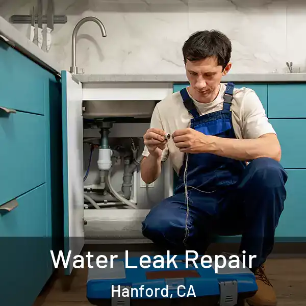  Water Leak Repair Hanford, CA